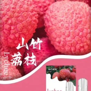 SP2S思博瑞煙彈-通用一代主機-口感香濃順滑-3顆/盒-原裝正品 - 山竹荔枝