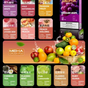 MEHA魅嗨五代煙彈-即插即用-霧化量大3只/盒- 2.5ml