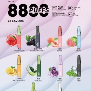 CHILL 8800 口拋棄式 Vape 台灣合法電子煙 鴨嘴獸一次性裝置
