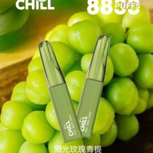 CHILL 8800 口拋棄式 Vape 台灣合法電子煙 鴨嘴獸一次性裝置 - 玫瑰青提